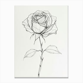 English Rose Black And White Line Drawing 18 Canvas Print