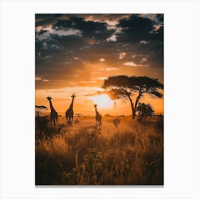 Sunset Giraffes Canvas Print