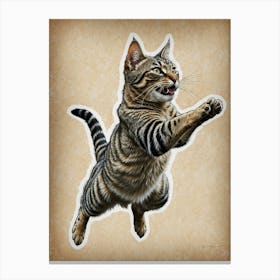 Cat Jumping Canvas Print