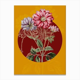 Vintage Botanical Hyacinth on Circle Red on Yellow n.0076 Canvas Print