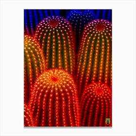 Colorful cactus 202307011715233rt1pub Canvas Print