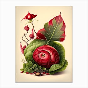 Snail With Red Background Botanical Canvas Print