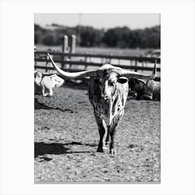 Longhorn Bull 1 Canvas Print