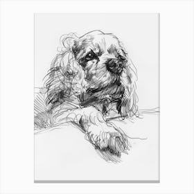 Clumber Spaniel Dog Line Sketch 4 Canvas Print