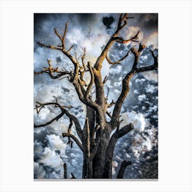 Dead Tree In The Sky Canvas Print