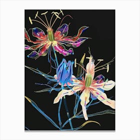 Neon Flowers On Black Love In A Mist Nigella 7 Canvas Print