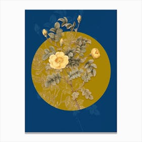 Vintage Botanical Yellow Sweetbriar Rose on Circle Yellow on Blue n.0334 Canvas Print
