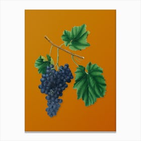 Vintage Lacrima Grapes Botanical on Sunset Orange Canvas Print