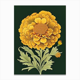 Marigold Wildflower Vintage Botanical 1 Canvas Print