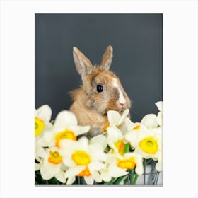 Bunny With Flowers Canvas Print