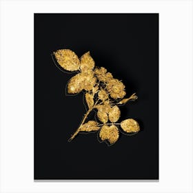 Vintage Redleaf Rose Botanical in Gold on Black n.0171 Canvas Print