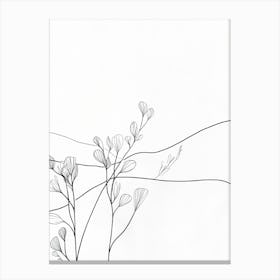 Line Drawing Of A Flower 3 Canvas Print