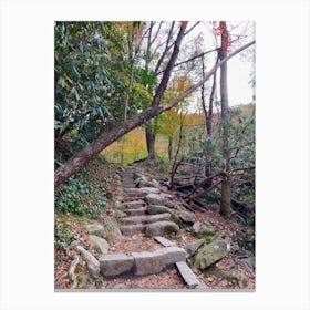 Stairway To Heaven Canvas Print