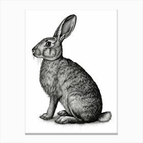 American Sable Blockprint Rabbit Illustration 2 Canvas Print