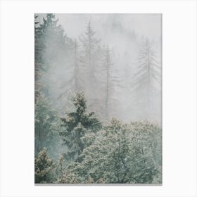 Forest Trees Canvas Print