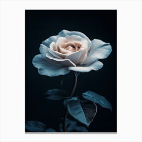 White Rose 6 Canvas Print