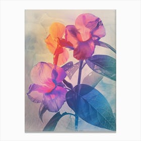 Iridescent Flower Impatiens 2 Canvas Print