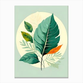 Tropical Leaves 16 Canvas Print