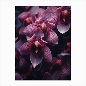 Macro Orchids 1 Canvas Print