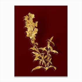 Vintage Red Dragon Flowers Botanical in Gold on Red n.0219 Canvas Print