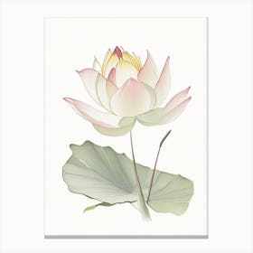 American Lotus Pencil Illustration 4 Canvas Print