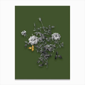 Vintage Dwarf Rosebush Black and White Gold Leaf Floral Art on Olive Green n.0731 Canvas Print