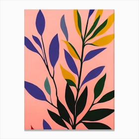 Arrowhead Plant Colourful Illustration Canvas Print