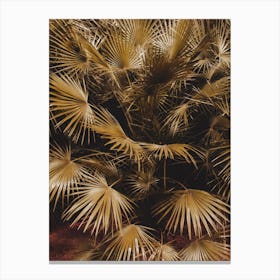 Golden Palm Leaves III Canvas Print