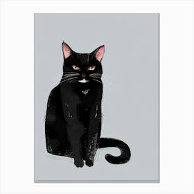 Black Cat 57 Canvas Print