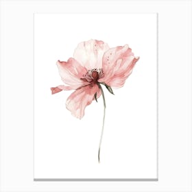 Pink Poppy Watercolor Painting Canvas Print