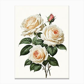 Vintage Galleria Style Rose Art Painting 3 Canvas Print