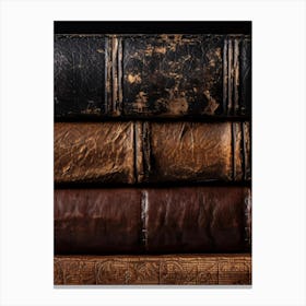 Old Books On Black Background Canvas Print