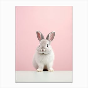 Cute Rabbit On A Pink Background Canvas Print