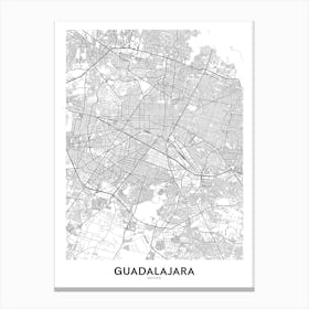 Guadalajara Canvas Print