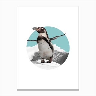 Humboldt Penguin Collage Canvas Print