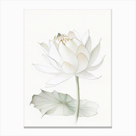 White Lotus Pencil Illustration 2 Canvas Print