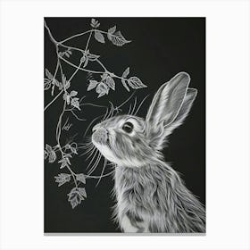 English Lop Rabbit Minimalist Illustration 3 Canvas Print