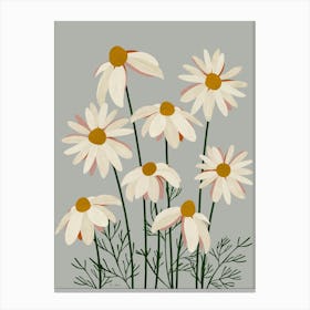 Daisies Canvas Print