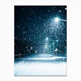 A Magical Winter Scene Layered With A Pattern Of Isolated Snowflakes Caught In A Soft Winter Storm (5) Canvas Print