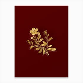 Vintage Sweetbriar Rose Botanical in Gold on Red n.0449 Canvas Print
