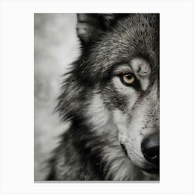 A close-up, highly detailed black and white portrait of a wolf, showcasing its piercing eyes and textured fur. Canvas Print