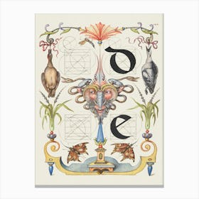 Guide For Constructing The Letters D And E From Mira Calligraphiae Monumenta, Joris Hoefnagel Canvas Print