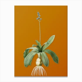 Vintage Scilla Lilio Hyacinthus Botanical on Sunset Orange n.0737 Canvas Print