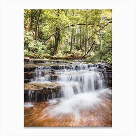 Forest Waterfall Canvas Print