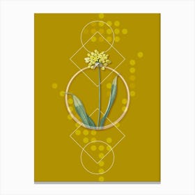 Vintage Golden Garlic Botanical with Geometric Line Motif and Dot Pattern n.0185 Canvas Print