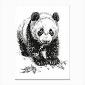 Giant Panda Cub Playing With A Fallen Leaf Ink Illustration 2 Canvas Print