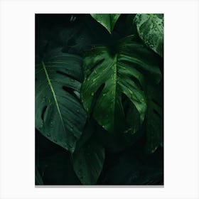 Green Leaves In The Jungle Canvas Print