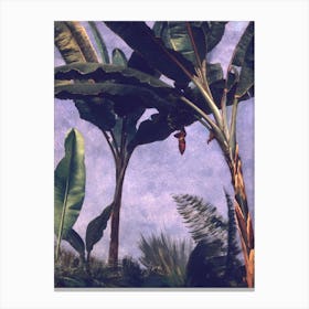 Banana Trees, Albert Bierstadt Canvas Print