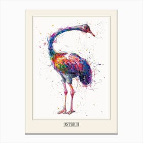 Ostrich Colourful Watercolour 2 Poster Canvas Print