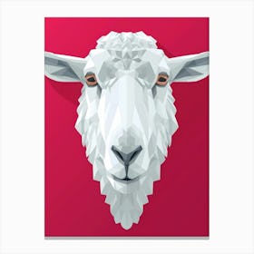 Sheep Head Canvas Print